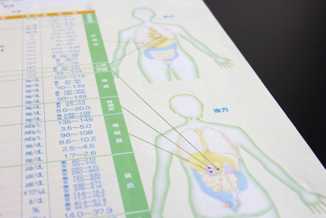 胃内視鏡検査の人体図